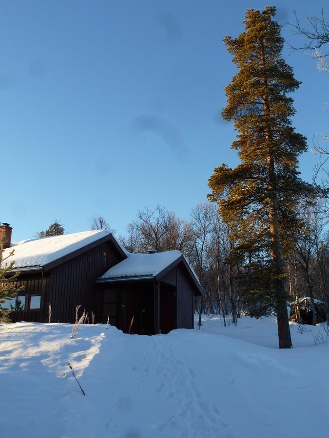 Tirilltoppen I Morkagrenda Villa Folldal Eksteriør bilde