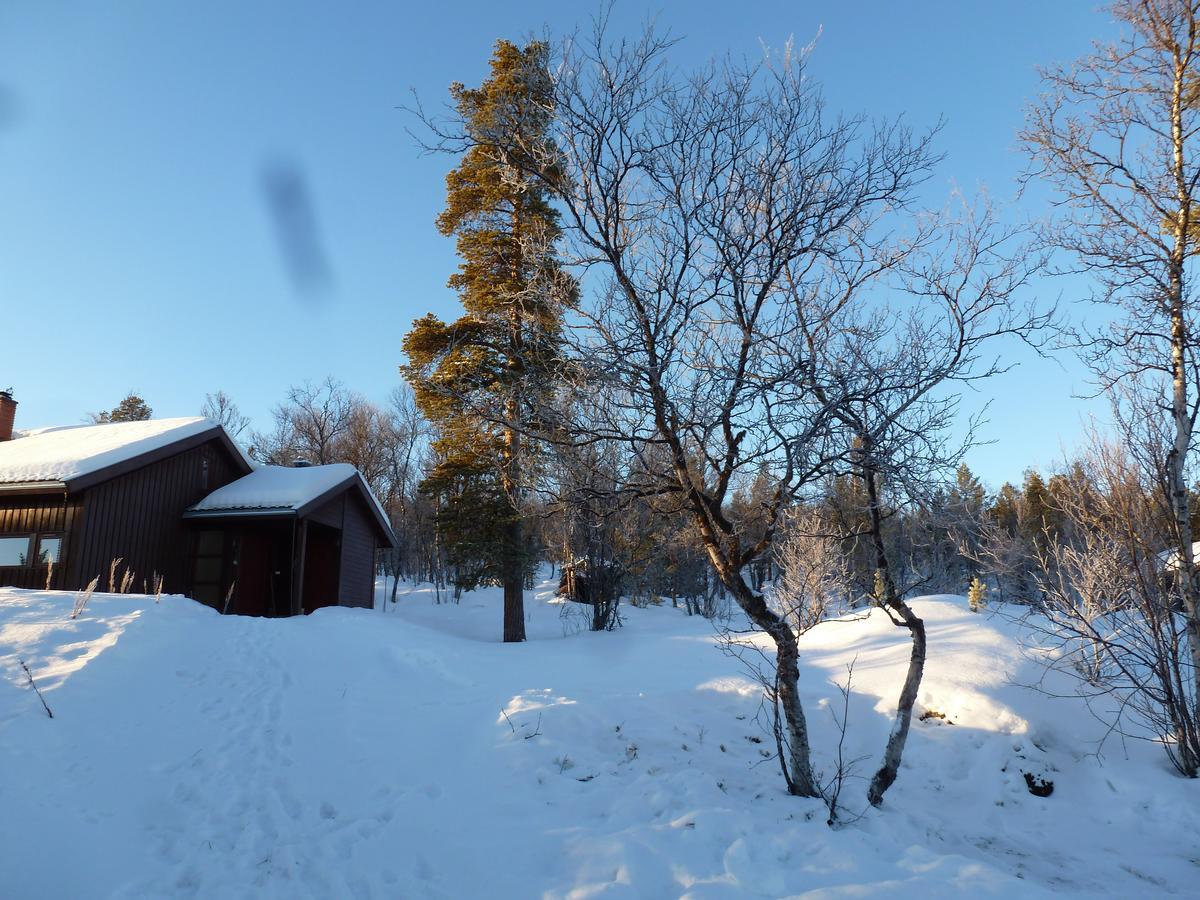 Tirilltoppen I Morkagrenda Villa Folldal Eksteriør bilde